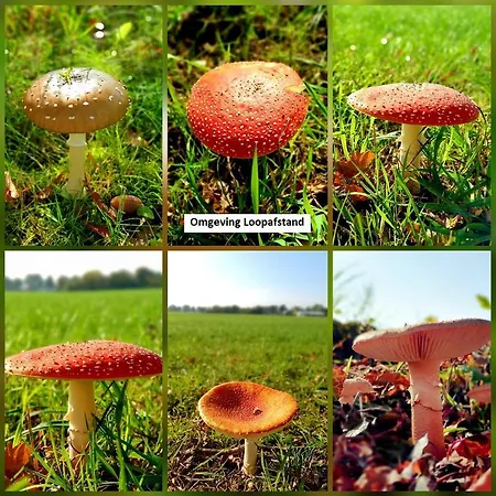 בית נופש De Varkensstal De Heurne