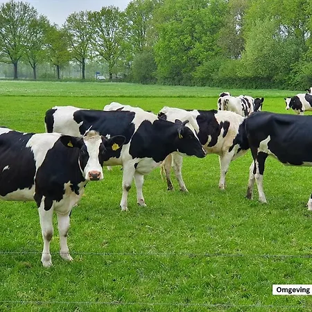 בית נופש De Varkensstal De Heurne