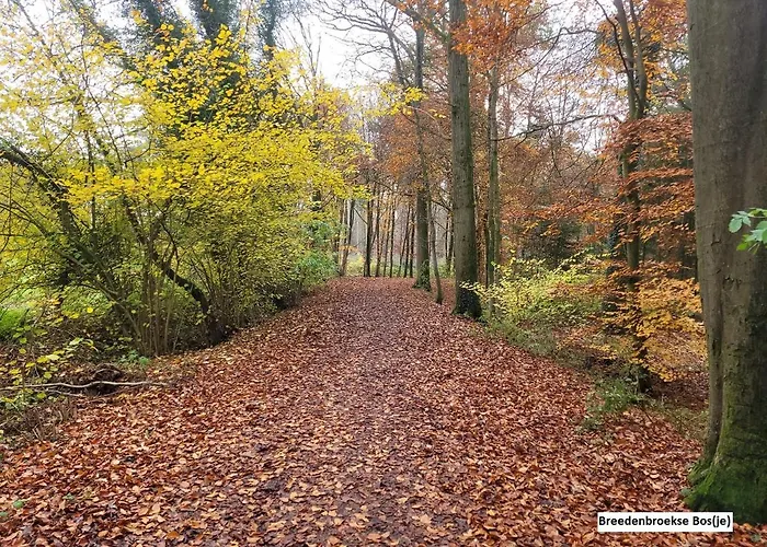 De Varkensstal De Heurne