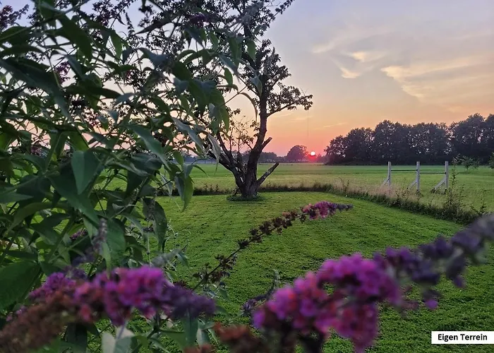 De Varkensstal Tatil Evi *