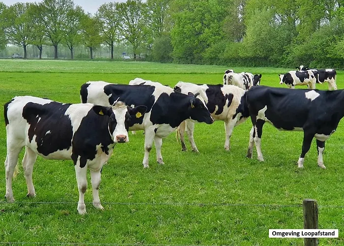 بيت للعطل De Varkensstal De Heurne