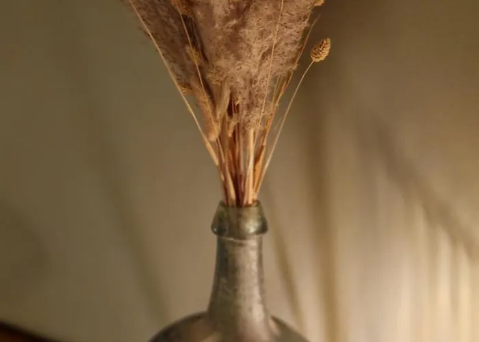 بيت للعطل De Varkensstal