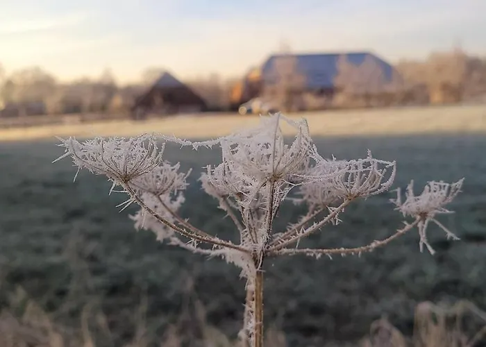 De Varkensstal Tatil Evi