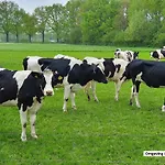 Σπίτι διακοπών De Varkensstal De Heurne