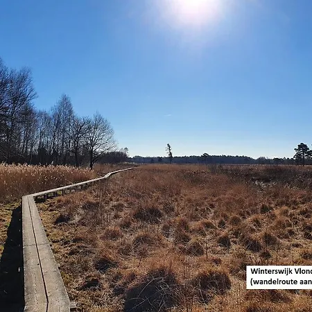 De Varkensstal Дом отдыха