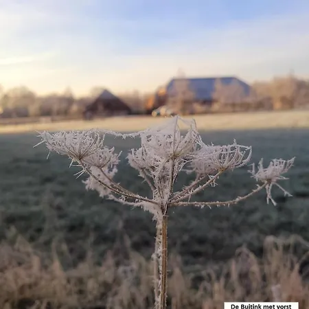 De Varkensstal Дом отдыха