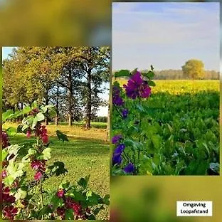 Nyaraló De Varkensstal De Heurne